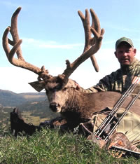 Click on this image for a larger view of Ken Kozminski's buck.