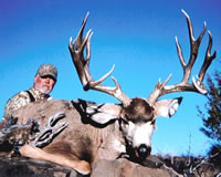 Click on this image for a larger view of Ron marsh's Mega Buck.