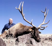 Click on this image for a larger view of Norm Wilslef's buck.