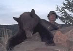 Click to view a larger image of Douglas Watson's great bear.