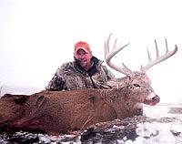 Click on this image for a larger view of Bryan Younggren's heavy 160pt class whitetail.