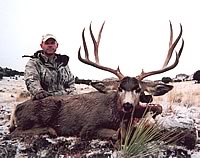 Click on this image for a larger view of Wayne Jelinek's beautiful 180 class buck.