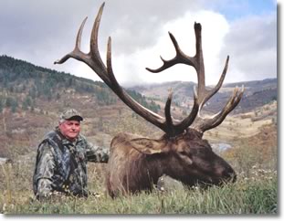 Gil Austin's massive 7x6 bull