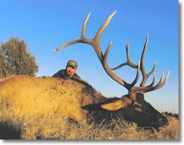 Steve Brocchini 7x6 bull elk Sierra Grande hunt November 2007