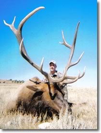 Allan Jernigan's super 340+ bull