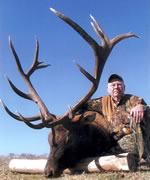 Click image for a larger view of Jimmy Haun's huge 7x8 bull.